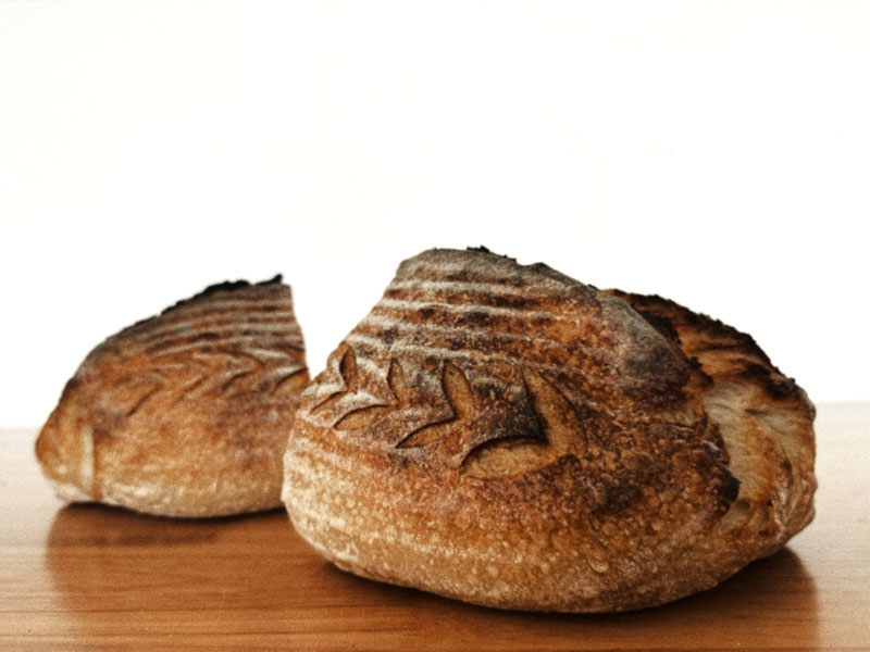 Two crusty sourdough loaves scored with a wheat-stalk pattern, resting on a wooden table